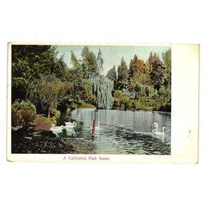 Vintage California Park Scene Postcard Rieder Los Angeles Leipzig Colorized